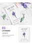 Therapy Facial Sheet Masks Set B